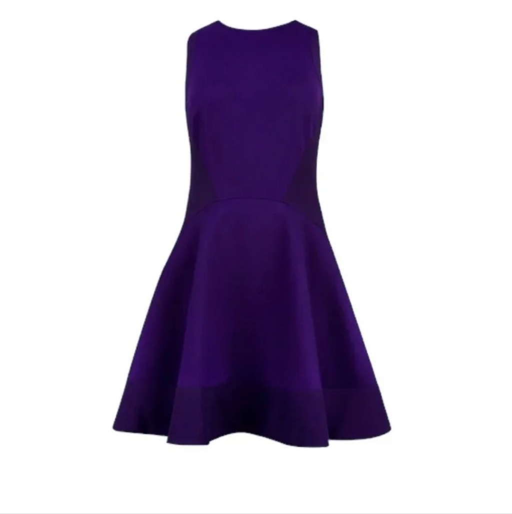 Ted Baker Jimena Skater Dress Us Size 6